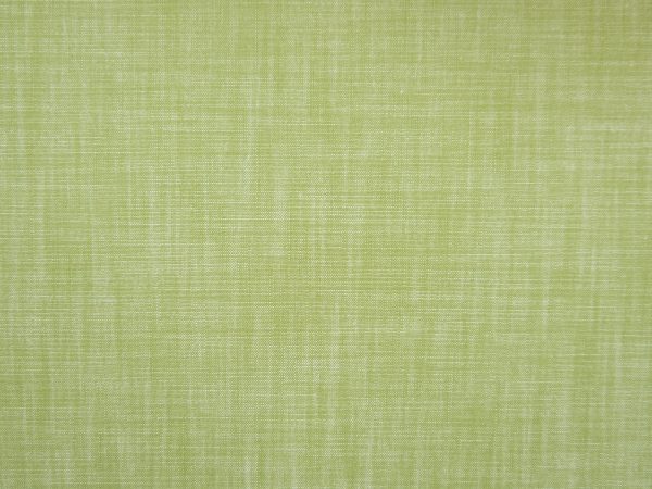 Linea - Image 2