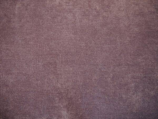 Danza - Image 3