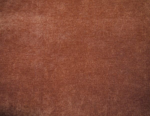 Danza - Image 4