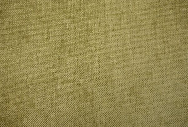 Oleandro - Image 2