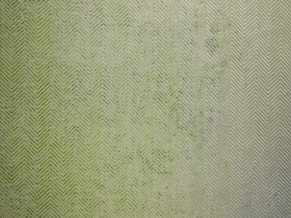 Orchidea - Image 4