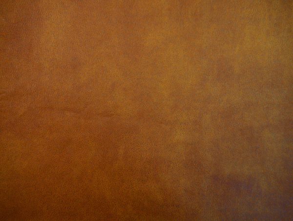 Respiro - Image 3